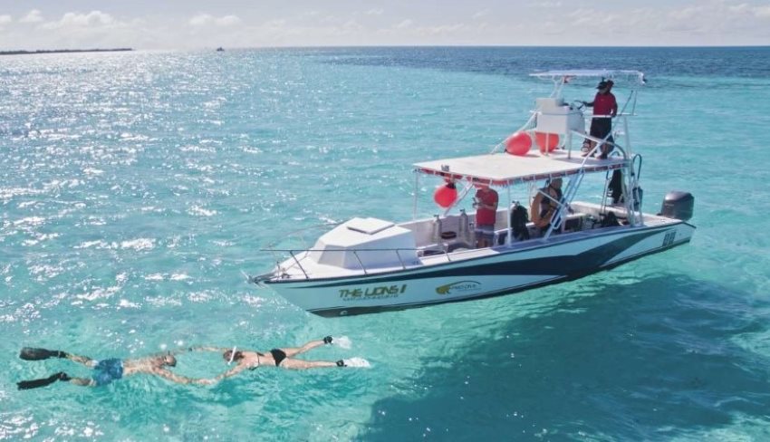 people on a snorkeling tour in cozumel