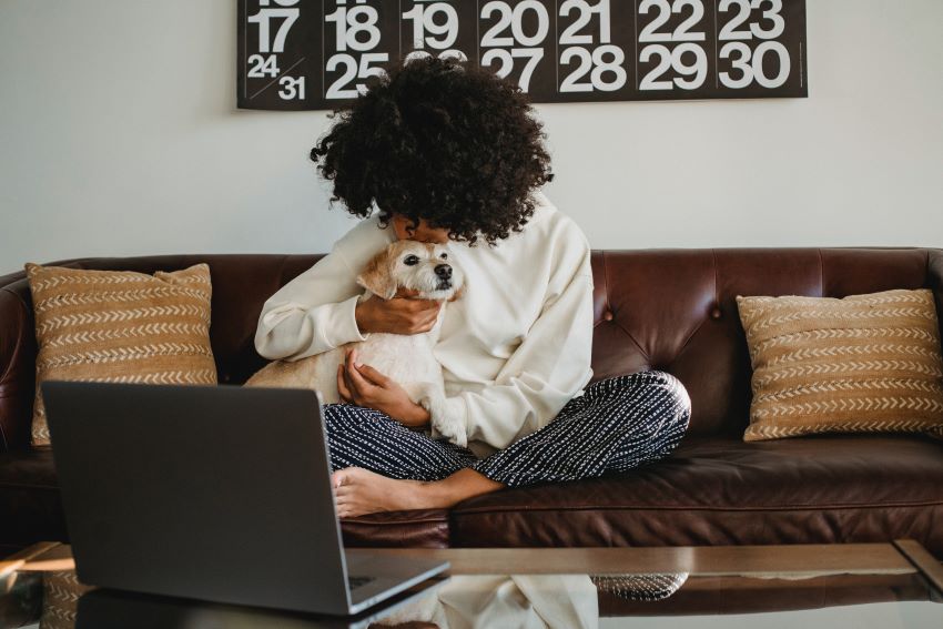 woman sitting in front of the laptop with her dog