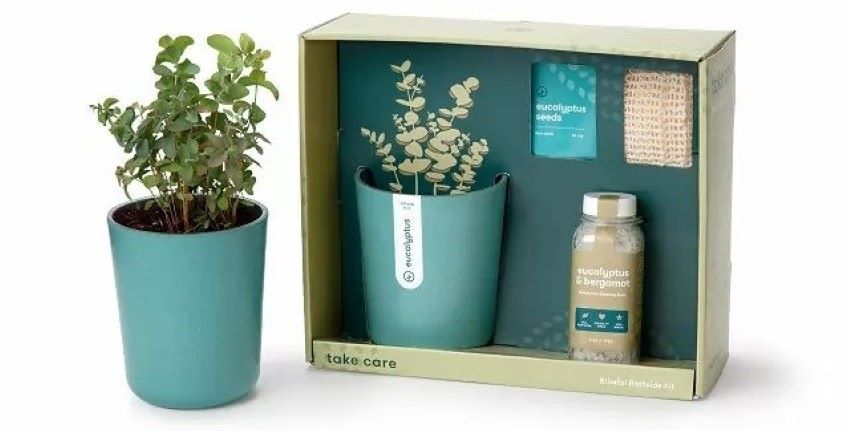 plant growing kit as a corporate retreat souvenir