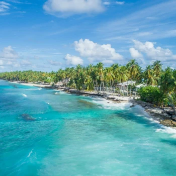 A tropical beach scene with turquoise water, white waves, and a line of tall palm trees under a clear blue sky.