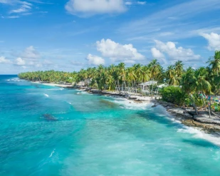 A tropical beach scene with turquoise water, white waves, and a line of tall palm trees under a clear blue sky.