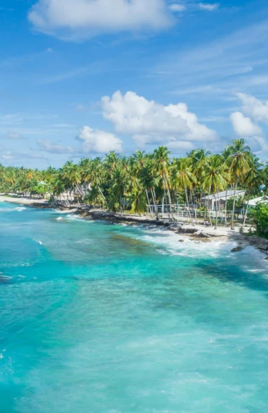 A tropical beach scene with turquoise water, white waves, and a line of tall palm trees under a clear blue sky.