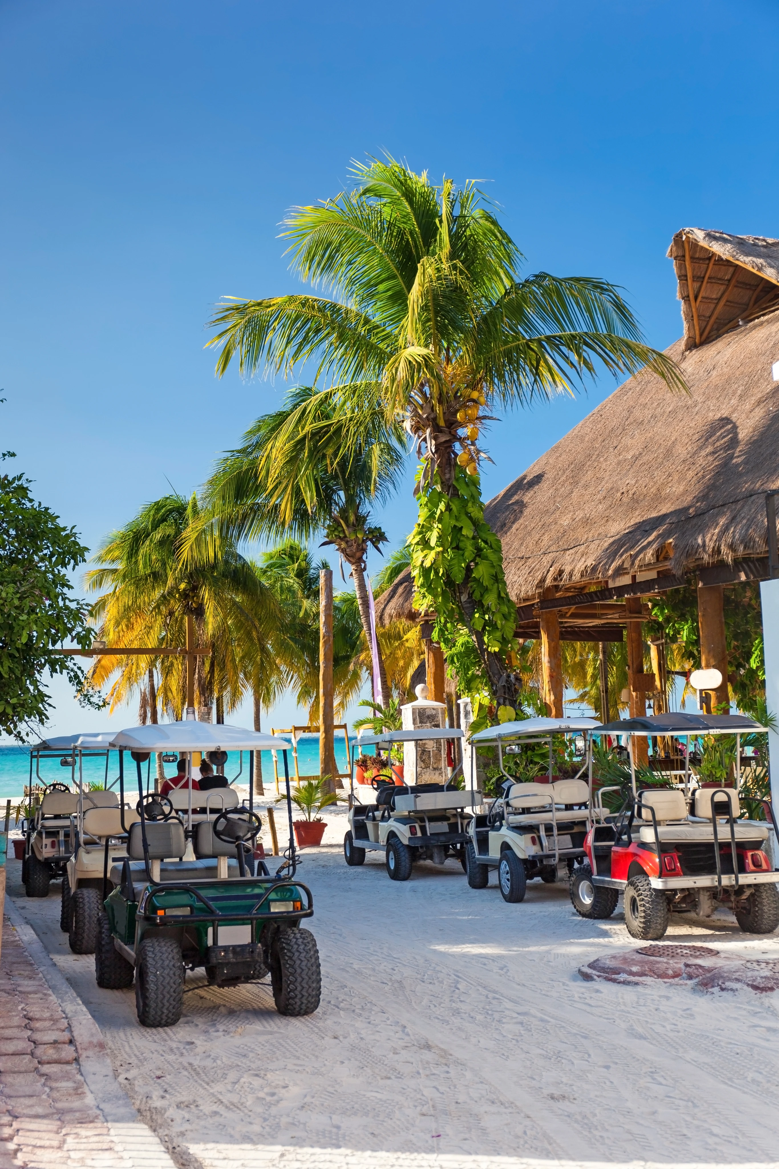 Tropical beach scene with golf carts parked under palm trees and near a thatched-roof hut. Sunny weather, vibrant greenery, and a bright blue sky.