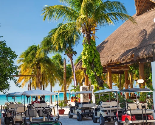 Tropical beach scene with golf carts parked under palm trees and near a thatched-roof hut. Sunny weather, vibrant greenery, and a bright blue sky.