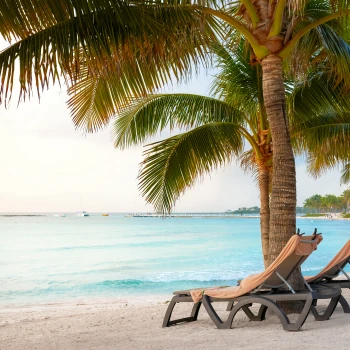 Two empty lounge chairs sit beneath a palm tree on a serene beach, overlooking calm turquoise waters, under a partly cloudy sky.