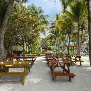 beachside restaurant at El Dorado Royale