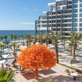 orange tree event space at Garza Blanca Resort & Spa Los Cabos