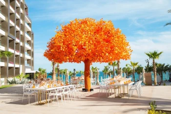 orange tree venue and event space at Garza Blanca Resort & Spa Los Cabos