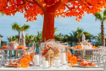 orange tree event space at Garza Blanca Resort & Spa Los Cabos