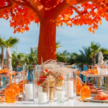 orange tree event space at Garza Blanca Resort & Spa Los Cabos