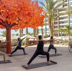 yoga session under the orange tree at Garza Blanca Resort & Spa Los Cabos