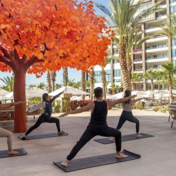 yoga session under the orange tree at Garza Blanca Resort & Spa Los Cabos