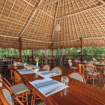 natura restaurant at The Fives Beach Hotel and Residences