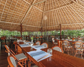 natura restaurant at The Fives Beach Hotel and Residences