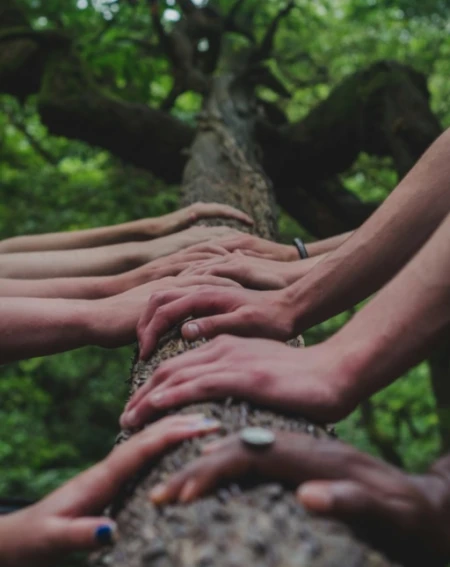 Multiple hands of diverse skin tones rest on a tree trunk in a forest, symbolizing unity and connection with nature. The mood is peaceful and collaborative.