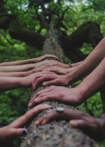 Multiple hands of diverse skin tones rest on a tree trunk in a forest, symbolizing unity and connection with nature. The mood is peaceful and collaborative.